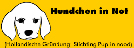 Hunde in Not in den Niederlanden